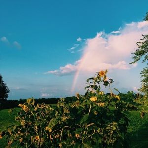 Meet your Posher, Joelle